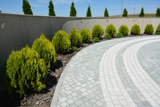 Best Driveway Paving Company  in Atoka, NM
